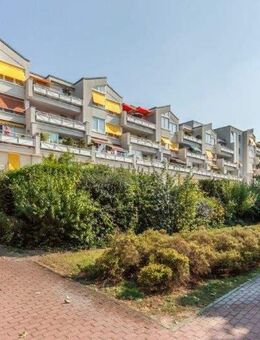 Nachmieter:in gesucht: 3-Raum-Wohnung im Veilchenweg ab dem 15.12.2025 verfügbar!!! - Brandenburg (Havel)