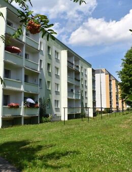 Praktische 2-Zimmer-Wohnung in grüner, ruhiger Lage - Klingenberg