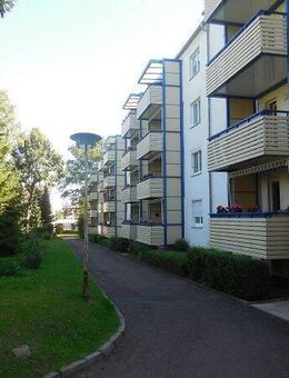 Gemütliche 2 raum Wohnung im Grünen mit Balkon - Döbeln