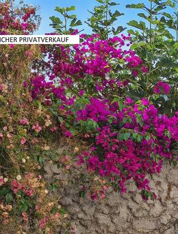 ERFURT MFH BAUJAHR 1995 ENERGIEKLASSE C Südlicher Panoramablick - Erfurt