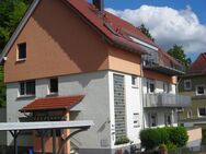 Wohnen auf Zeit zentral in Heppenheim - Ruhig, nett und mit Niveau - Heppenheim (Bergstraße)