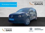 VW Caddy, 2.0 TDI Maxi Kasten, Jahr 2019 - Bielefeld