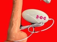 Realistische Dildo 18cm Vibratoren mit Stossfunktion Klitoris Stimulator G-Punkt Vibratoren für sie mit Stoßfunktion Silikon Analplug Frauen Sexspielzeug - Fulda