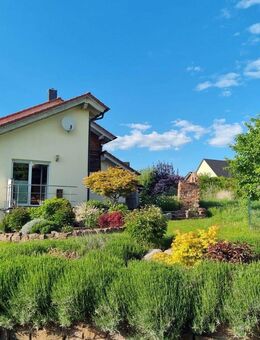 gepflegtes Einfamilienhaus mit gehobener Ausstattung - provisionsfrei kurzfristig verfügbar - Einbeck