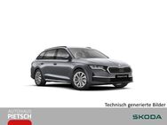 Skoda Octavia, 2.0 TDI Combi 110kW, Jahr 2024 - Melle