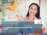 Pädagogischer Experte (m/w/d) Vollzeit / Teilzeit - Lahr (Schwarzwald)
