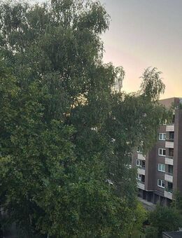 Anfragestopp! - 3 Zimmer Wohnung in ruhiger Sackgassenlage zu vermieten - Gelsenkirchen