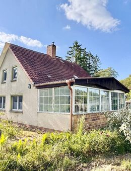 HORN IMMOBILIEN ++ freistehendes Einfamilienhaus mit großem Grundstück - Knorrendorf