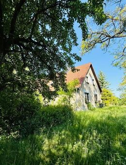 Einfamilienhaus mit Einliegerwohnung auf 1 Hektar Anwesen - für Naturliebhaber & Selbstversorger! - Altlandsberg