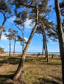 Spontane Wochenendcamper*in gesucht in 06132