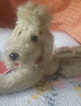 Für Sammler: Pudel und Meerschweinchen von Steiff - Sarstedt