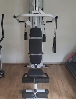 Sport,Kraftmaschine Kinettic F3 - Niefern-Öschelbronn