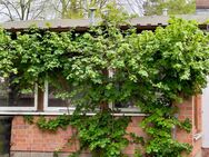 FINALER PREIS | PROVISIONSFREI | Einfamilienhaus mit Wintergarten und Bungalow auf großem Grundstück - Hohen Neuendorf