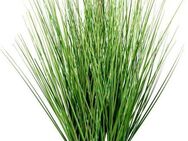 Kunstgras Grasbusch Gras, Creativ green, Höhe 59 cm, im weißen Topf
