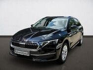 Skoda Octavia, 2.0 TDI Combi Selection, Jahr 2024 - Bochum