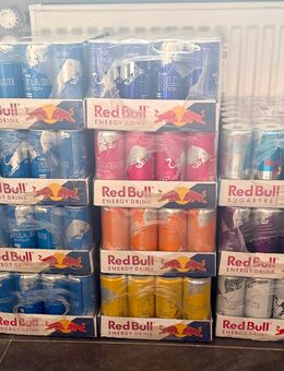 RedBull ALLE SORTEN INKL Pfand! - Witten