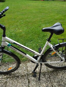 Pegasus Fahrrad Piazza 21 - Menden (Sauerland)