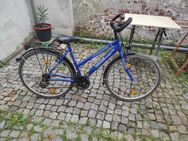 City Bike - Vogtei