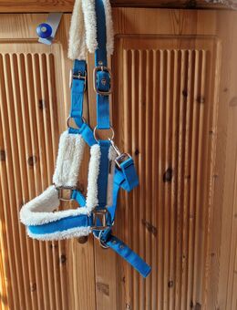 Shomaster Pony Halfter - Grevenbroich