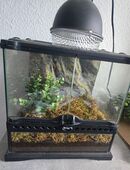 Exo Terra 30x30x30 in 39128