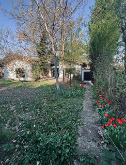 Bungalow mit Sanierungsbedarf in hervorragender Wohnlage - Birkenheide