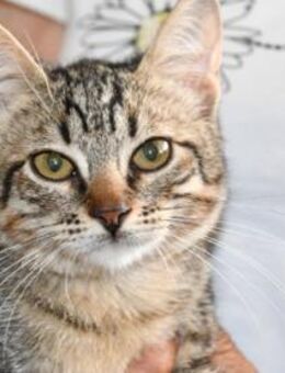 Darf Petra zu Ihrer Familie gehören? - Neuss