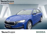 Skoda Octavia, 2.0 TDI Combi W Selection, Jahr 2024 - Gummersbach