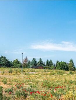 +++Modernes Wohnen zum Wohlfühlen: Ihr schlüsselfertiges Reihenhaus in Frankenberg+++Haus 5 - Frankenberg (Sachsen)