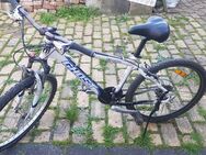 Mountainbike 26" Ghost 24 Gang - Schkeuditz