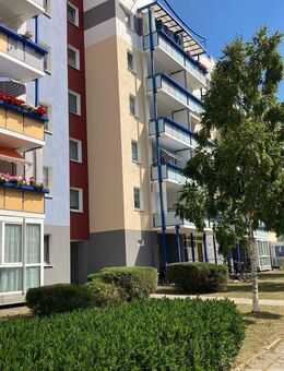 ++ Einziehen und Wohlfühlen ++ - Stralsund