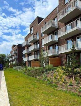 Frisch & modern: Neubauwohnung in Schleswig wartet auf Sie - Schleswig