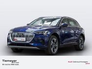 Audi e-tron 50 Q ADVANCED MATRIX NAVI+ AHK VIRTUAL - Plettenberg