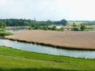 Naturschutzparadies als wertvolle Ausgleichsfläche in Truchtlaching – Schilfinsel "Bifuß" in der Ischler Schlinge - Seeon-Seebruck