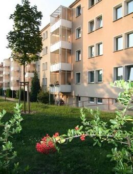 Junges Wohnen - Dessau-Roßlau
