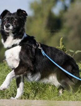 AMY - top fitte & tolle Best Agerin 💝 - Neudenau