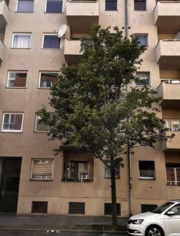 Studio mit große Terrasse und Fahrstuhl in Mitte/Wedding - Berlin