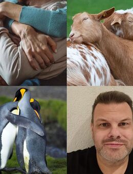 Kuschelbuddy / Kuschelpartnerin gesucht. - Hattingen