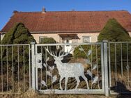 Irgendwo im Nirgendwo! Einfamilienhaus mit Nebengelass und großem Grundstück - ehemaliges Jagdhaus - Wittstock (Dosse)