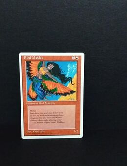 Magic The Gathering-Vogelmädchen - Nörvenich