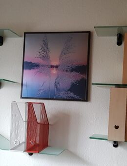 Glasregale (6 Stck) satiniert - Eisenberg (Pfalz)