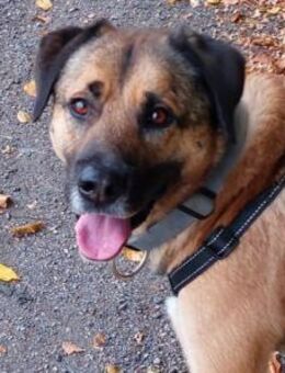 Twain sucht 2. Chance - Neu Ulm