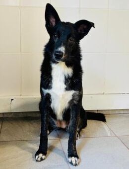 BRUNA - lieb & freundlich - Velbert