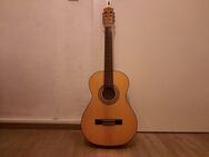 Gitarre - Serie Torella - Modell 50 - Mainz