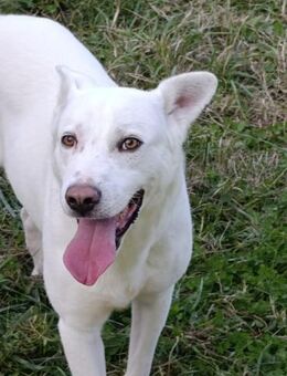 Paloma - sucht Fitnesspartner - Grevenbroich