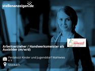 Arbeitserzieher / Handwerksmeister als Ausbilder (m/w/d) - Stockach
