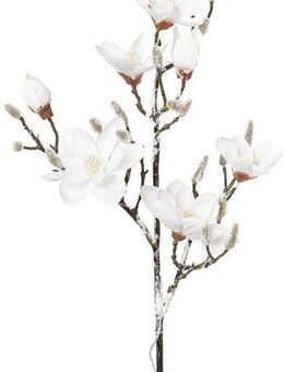 Kunstzweig Weihnachtsdeko, Creativ light, Höhe 115 cm, Magnolie in beschneiter Optik, 15 LEDs, 115 cm, Batterie 3xAA