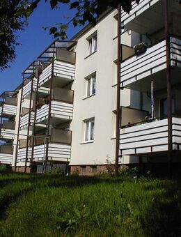 Wohnträume können wahr werden - gemütliche 3-Raum-Wohnung in Thalheim - Thalheim (Erzgebirge)