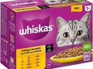 Megapack Whiskas 1+ Adult Frischebeutel 24 x 85 g - Geflügelauswahl in Sauce