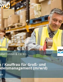 Kaufmann / Kauffrau für Groß- und Außenhandelsmanagement (m/w/d) - Stadtkyll