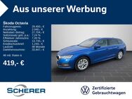 Skoda Octavia, 1.5 Combi eTSI, Jahr 2024 - Bingen (Rhein)